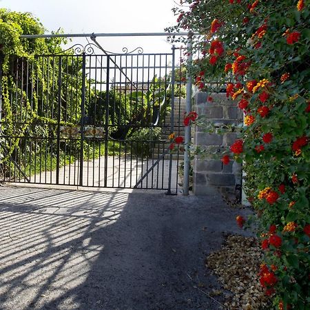 Villa Con Piscina Vista Mare Santo Stefano  Exterior foto